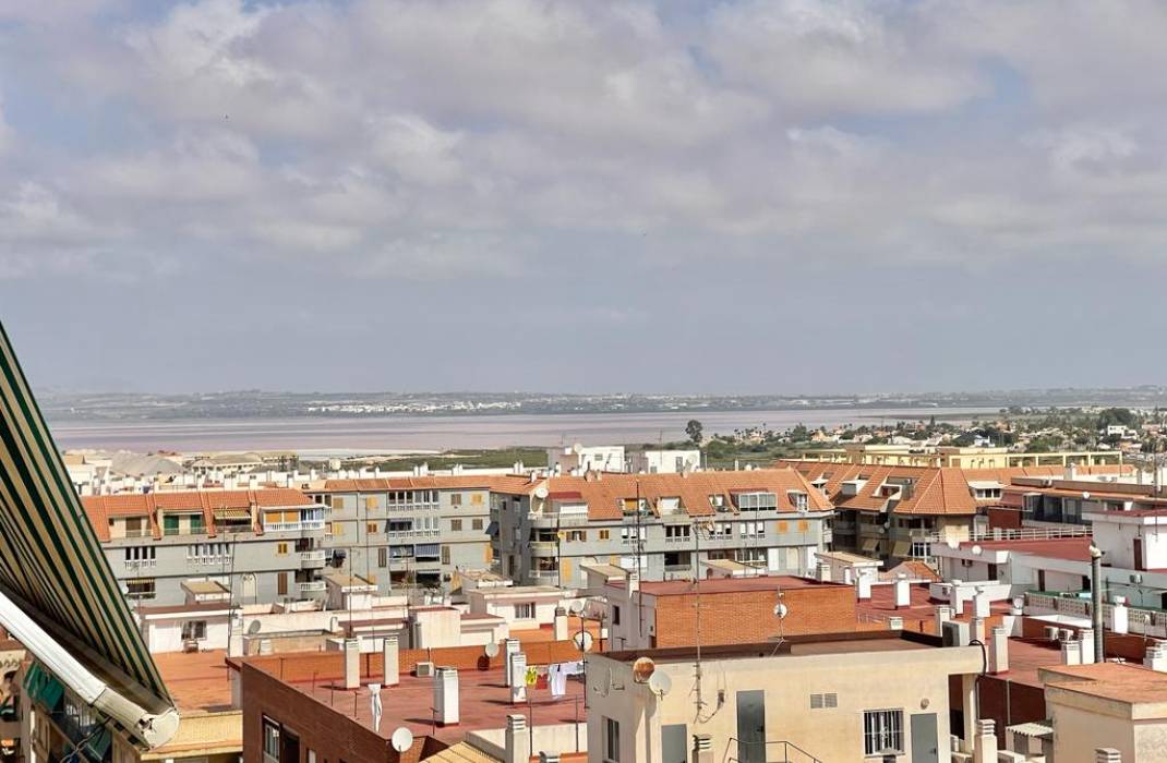 Resale - Apartment - Torrevieja - calle Diego Maraon n 41