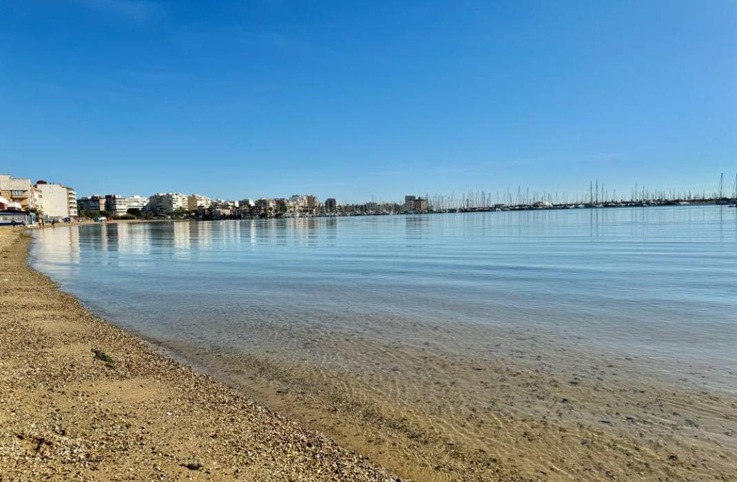 Resale - Apartment - Torrevieja - calle Gregorio Maraon n 41