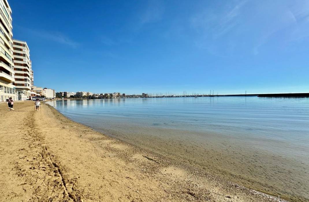 Resale - Apartment - Torrevieja - calle Gregorio Maraon n 41