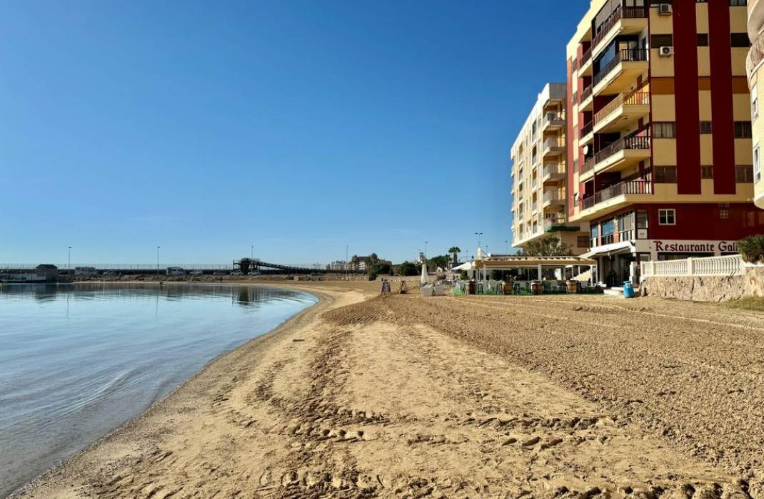 Resale - Apartment - Torrevieja - calle Gregorio Maraon n 41