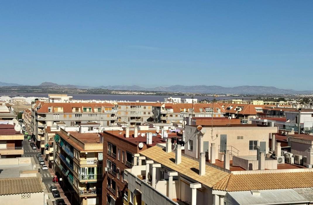 Resale - Apartment - Torrevieja - calle Gregorio Maraon n 41