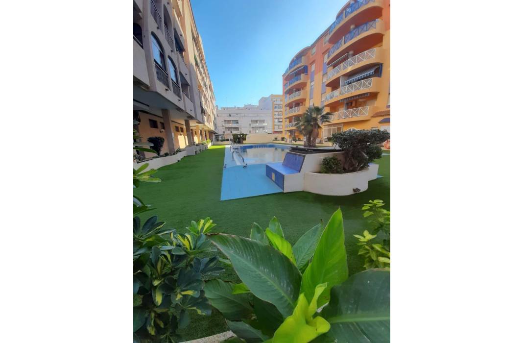 Resale - Apartment - Torrevieja - Centro