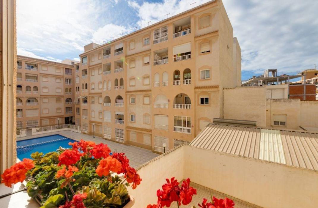 Resale - Apartment - Torrevieja - Estacion de autobuses