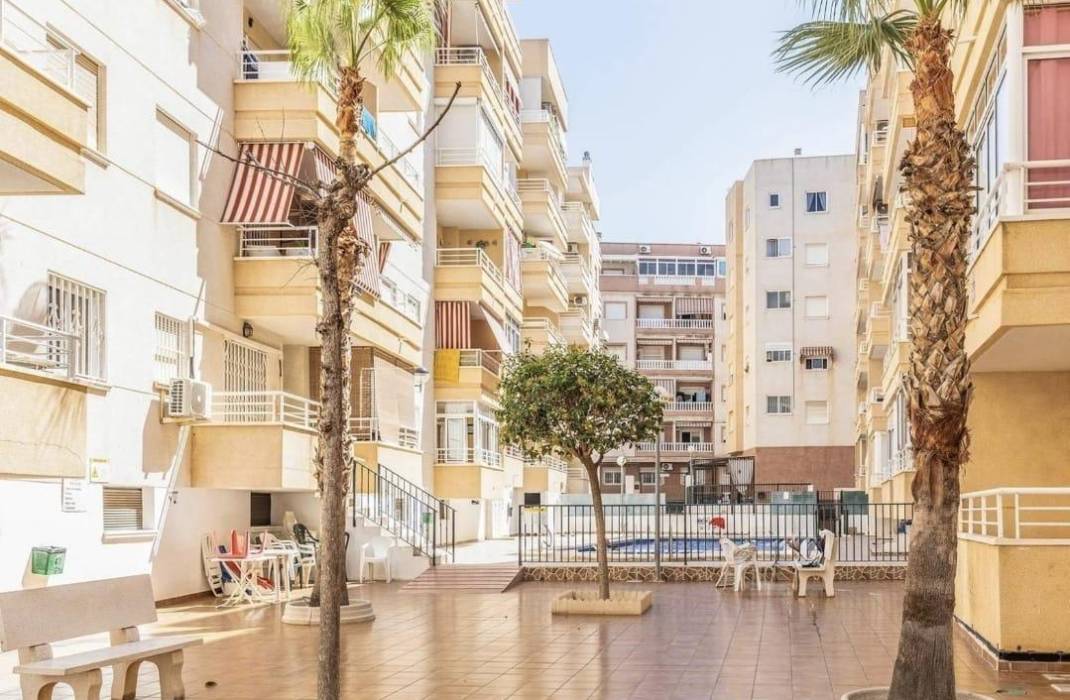 Resale - Apartment - Torrevieja - Estacion de autobuses