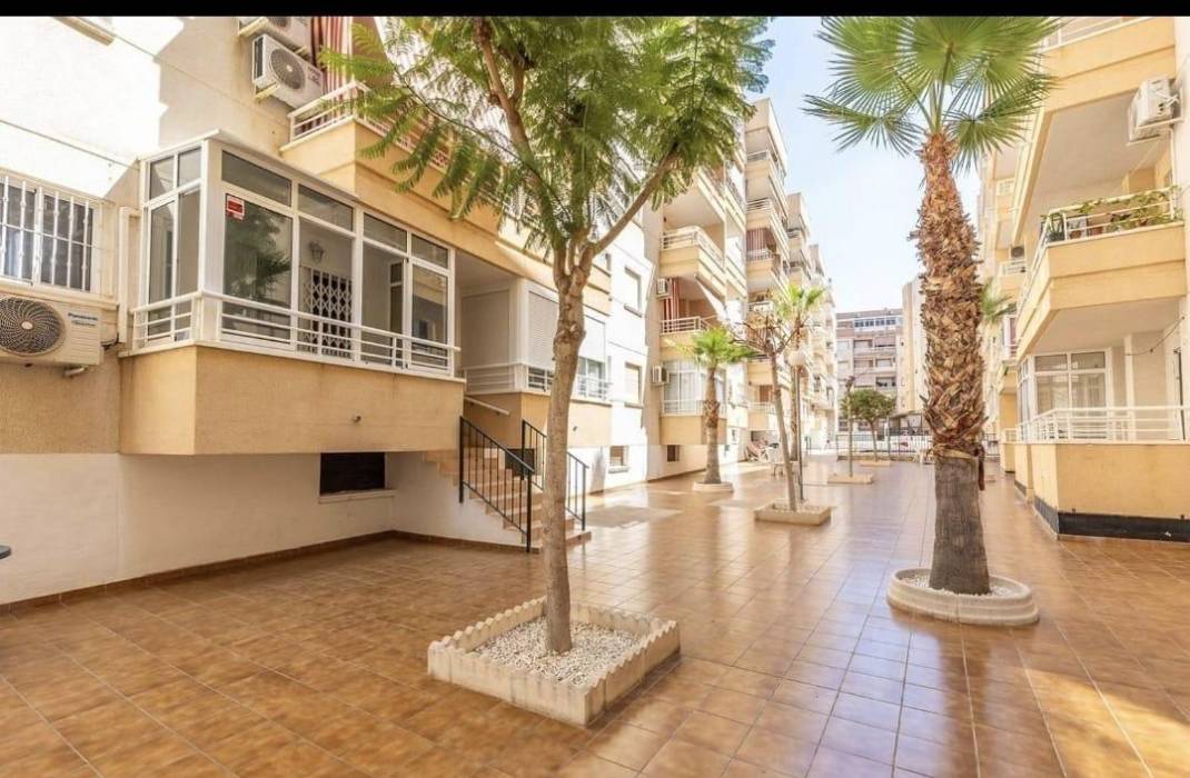 Resale - Apartment - Torrevieja - Estacion de autobuses