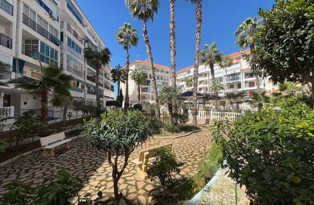 Resale - Apartment - Torrevieja - La Mata