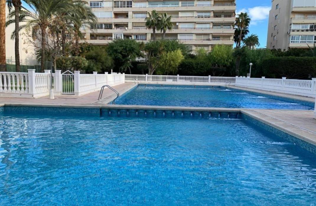 Resale - Apartment - Torrevieja - Los Frutales