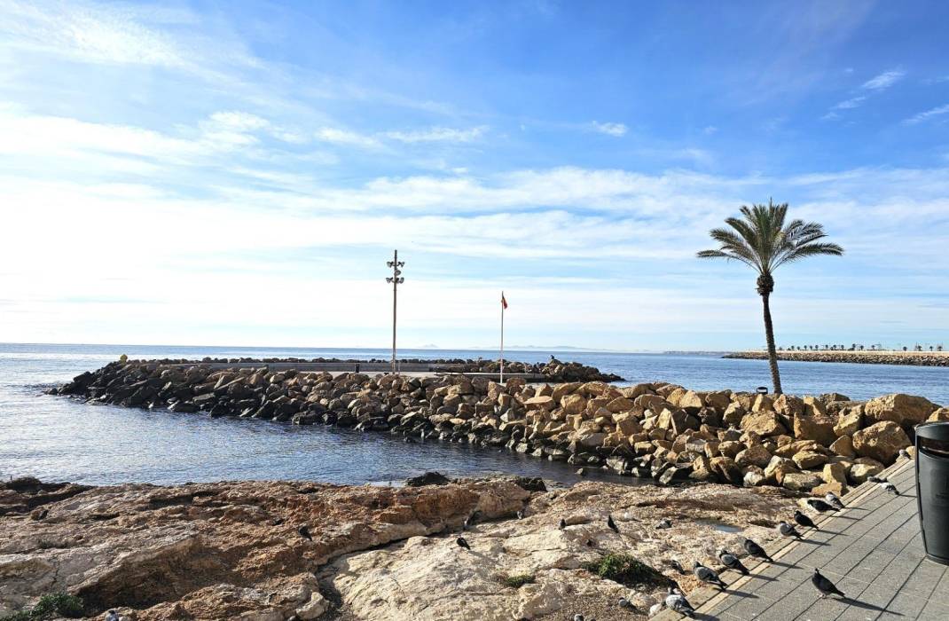 Resale - Apartment - Torrevieja - Paseo maritimo