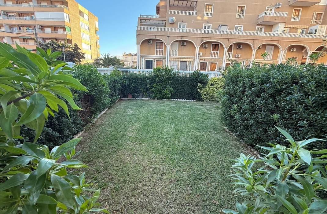 Resale - Apartment - Torrevieja - Punta prima