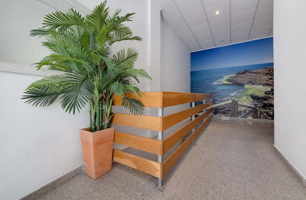Resale - Apartment - Torrevieja - torrevieja