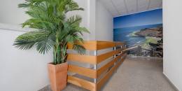 Resale - Apartment - Torrevieja - torrevieja