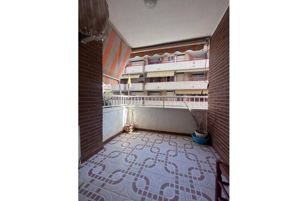 Resale - Apartment - Torrevieja - torrevieja