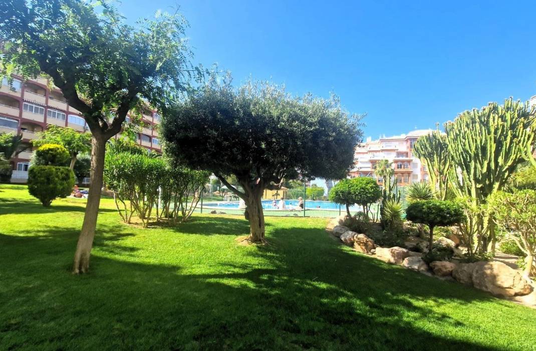 Resale - Apartment - Torrevieja
