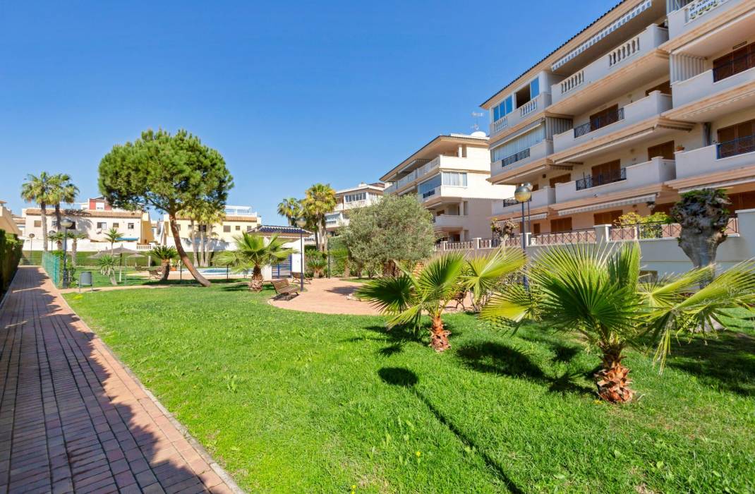 Resale - Apartment - Torrevieja