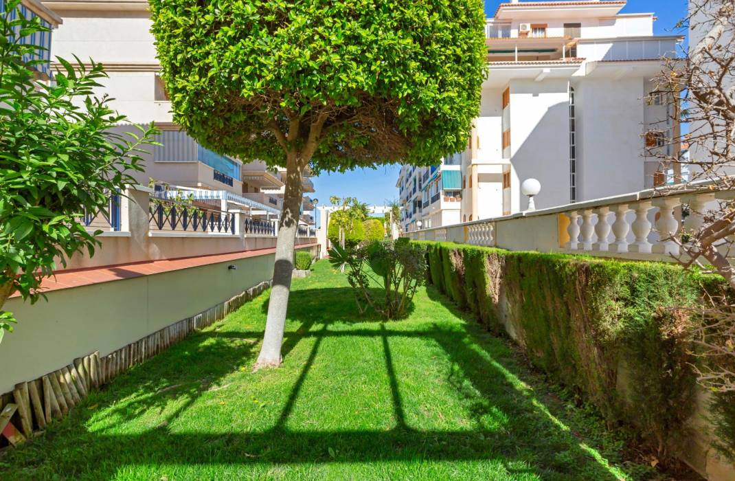 Resale - Apartment - Torrevieja