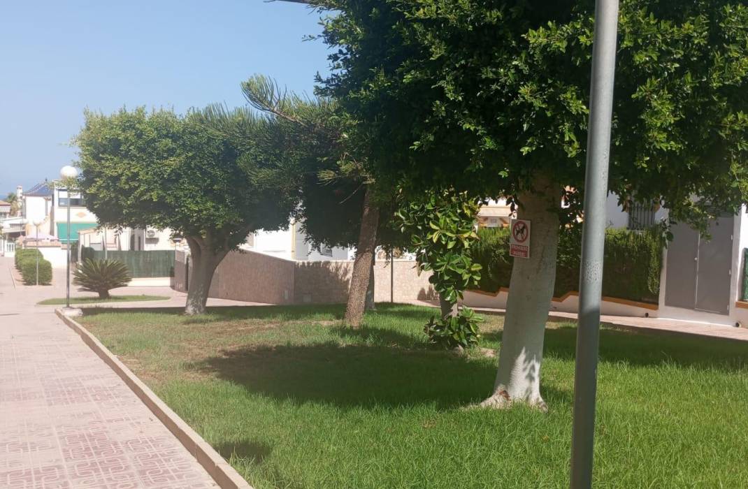 Resale - Bungalow - Torrevieja - Los altos