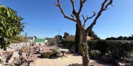 Resale - Country House - Crevillent - Comunidad valenciana