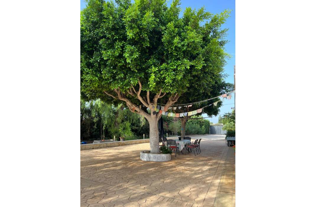 Resale - Country Villa - Crevillente