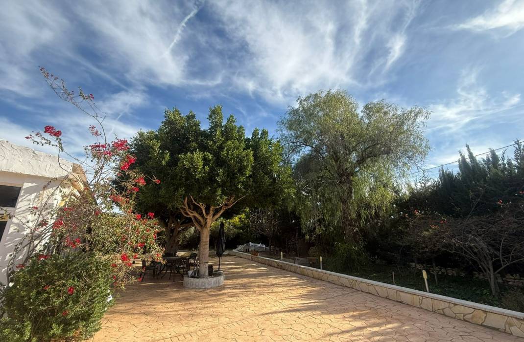 Resale - Country Villa - Crevillente