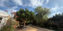 Resale - Country Villa - Crevillente