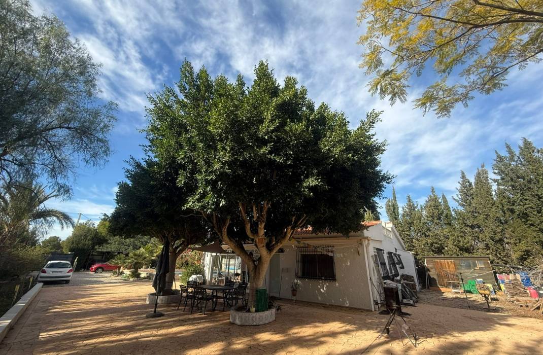 Resale - Country Villa - Crevillente