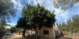 Resale - Country Villa - Crevillente
