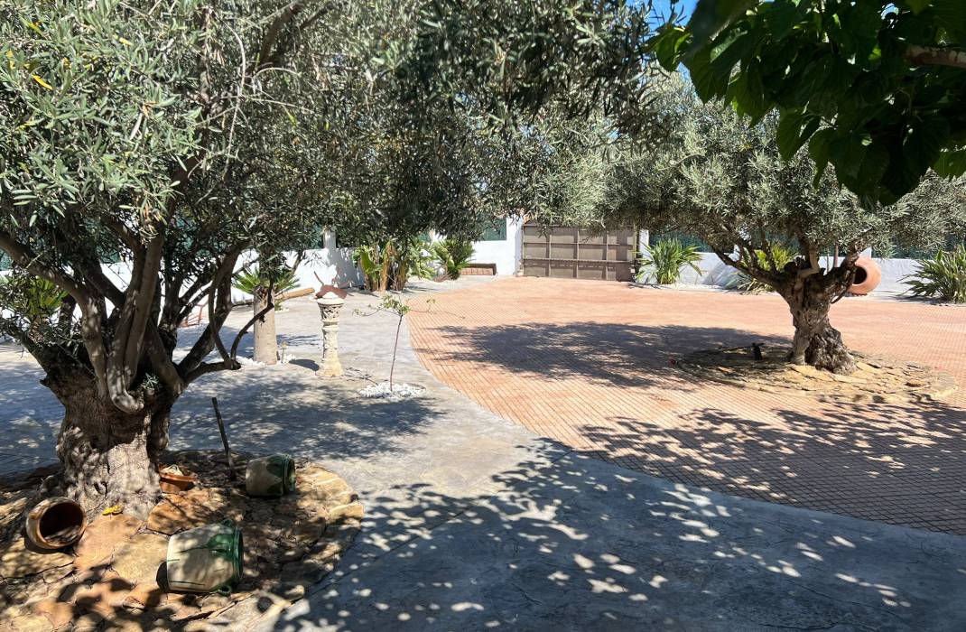 Resale - Detached Villa - Almoradi - 0