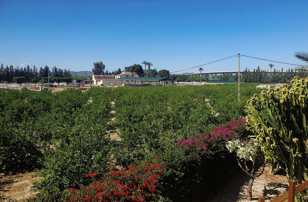 Resale - Detached Villa - Redovan