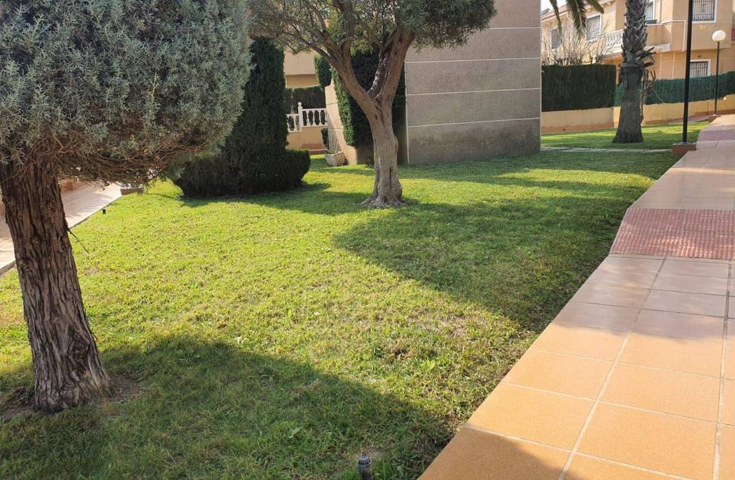 Resale - Duplex - Torrevieja - Aguas nuevas 2