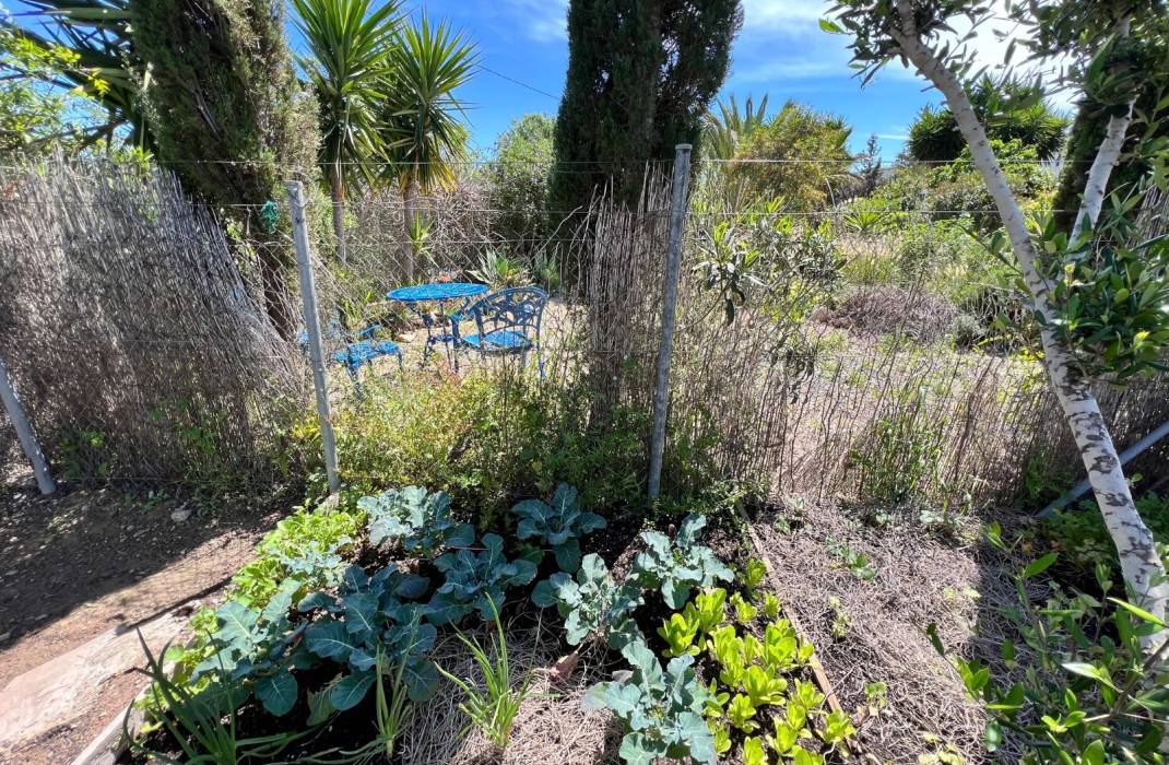 Resale - Finca Country Property - Cartagena