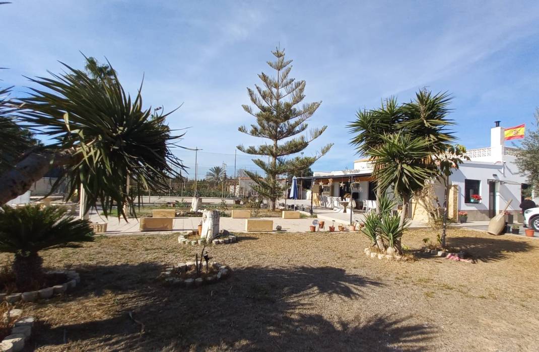 Resale - Finca / Country Property - Los Montesinos - LOS MONTESINOS