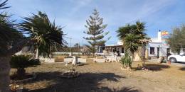 Resale - Finca / Country Property - Los Montesinos - LOS MONTESINOS