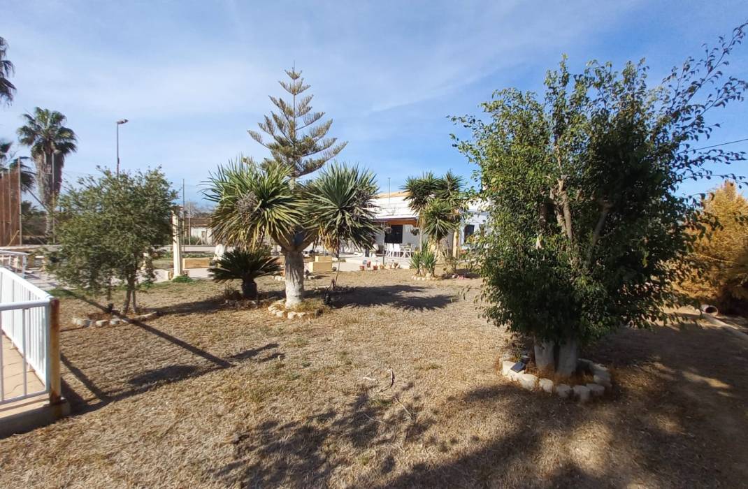 Resale - Finca / Country Property - Los Montesinos - LOS MONTESINOS
