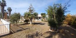 Resale - Finca / Country Property - Los Montesinos - LOS MONTESINOS