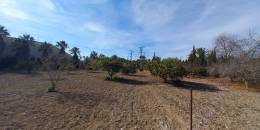 Resale - Finca / Country Property - Los Montesinos - LOS MONTESINOS
