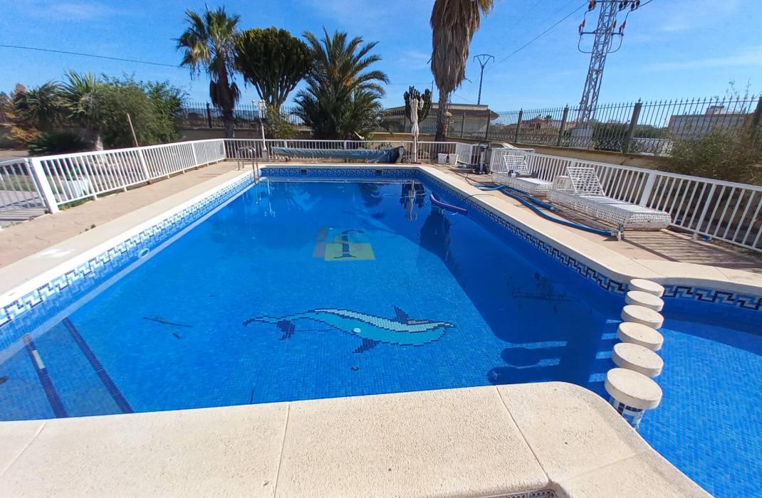 Resale - Finca / Country Property - Los Montesinos - LOS MONTESINOS