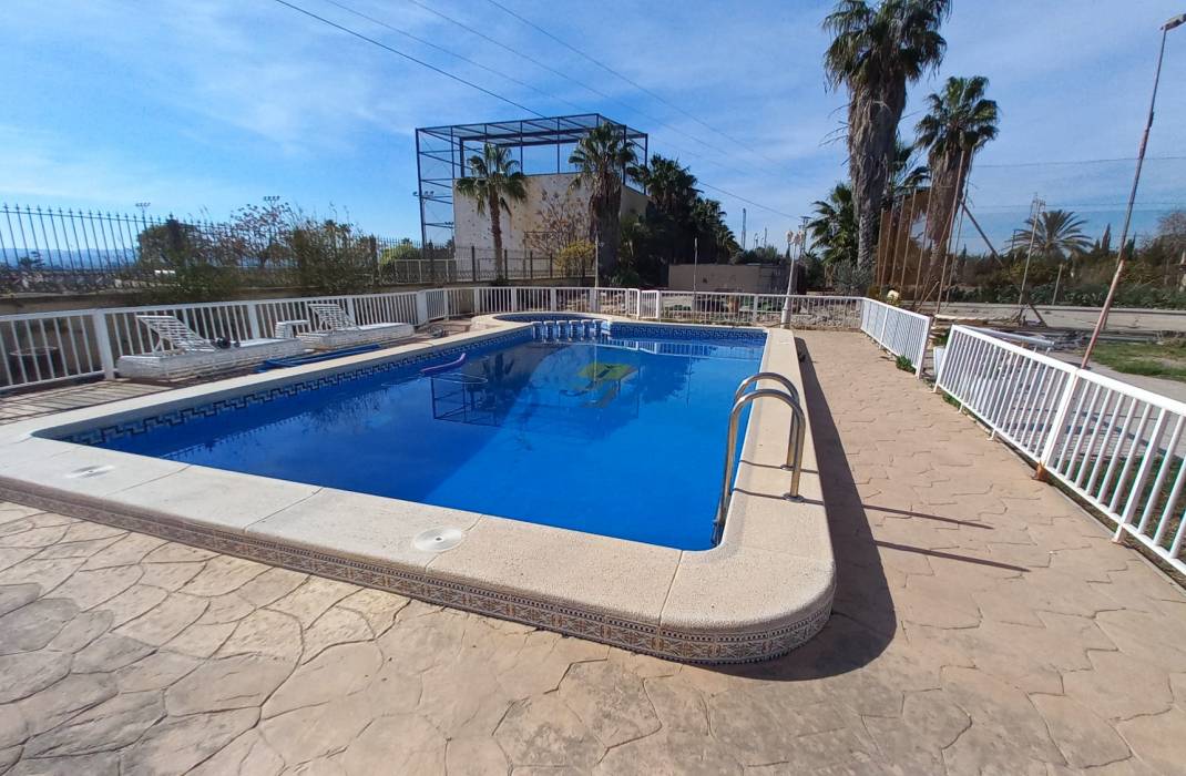Resale - Finca / Country Property - Los Montesinos - LOS MONTESINOS