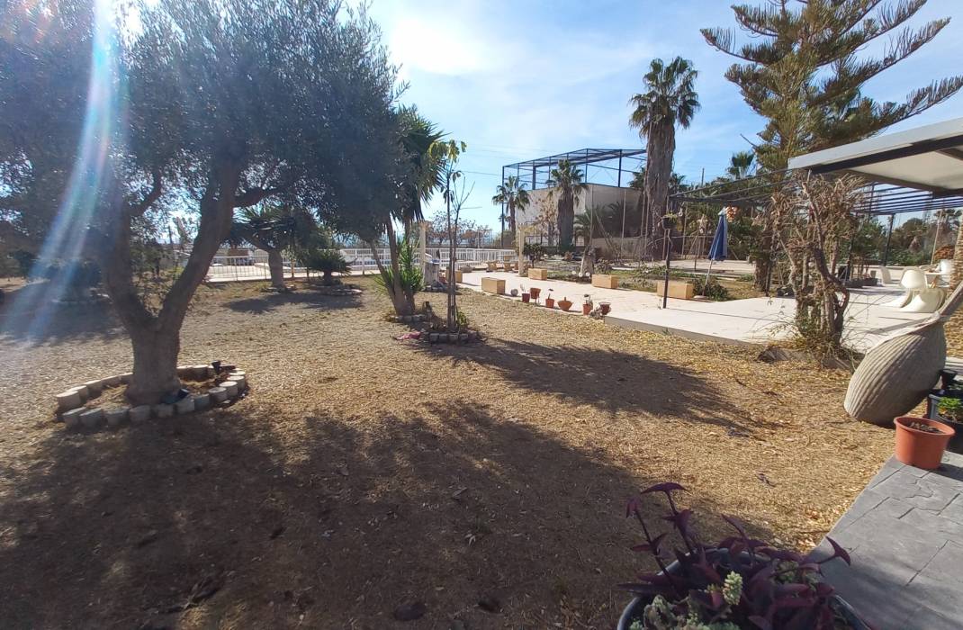 Resale - Finca / Country Property - Los Montesinos - LOS MONTESINOS