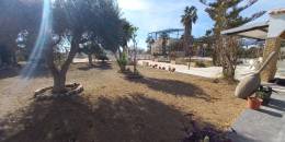 Resale - Finca / Country Property - Los Montesinos - LOS MONTESINOS