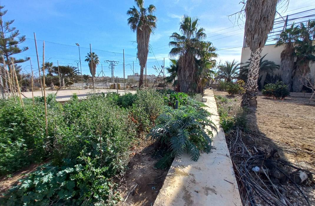 Resale - Finca / Country Property - Los Montesinos - LOS MONTESINOS
