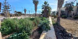 Resale - Finca / Country Property - Los Montesinos - LOS MONTESINOS