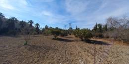 Resale - Finca / Country Property - Los Montesinos - LOS MONTESINOS