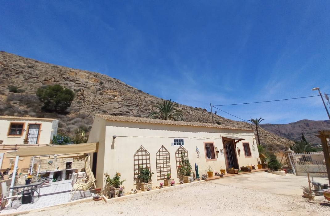 Resale - Finca / Country Property - Orihuela - Zona Centro