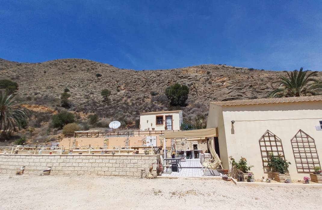 Resale - Finca / Country Property - Orihuela - Zona Centro