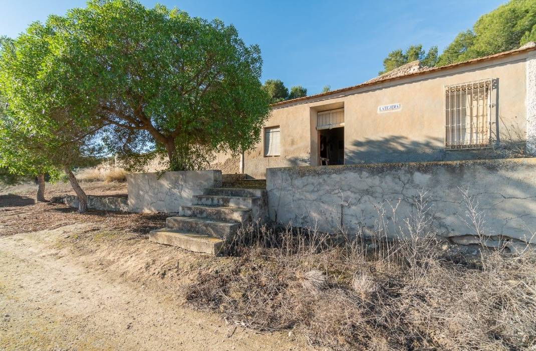 Resale - Finca - Orihuela Costa