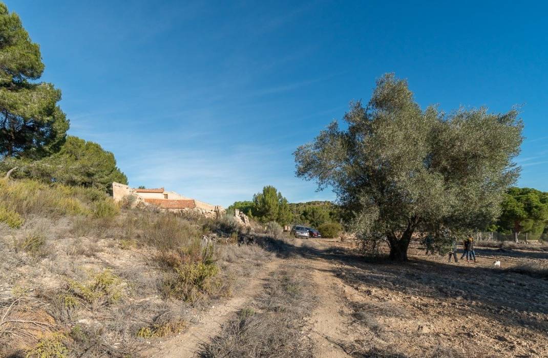 Resale - Finca - Orihuela Costa