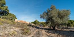 Resale - Finca - Orihuela Costa