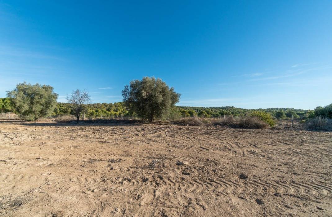 Resale - Finca - Orihuela Costa