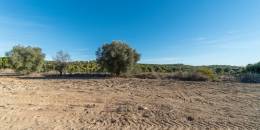 Resale - Finca - Orihuela Costa