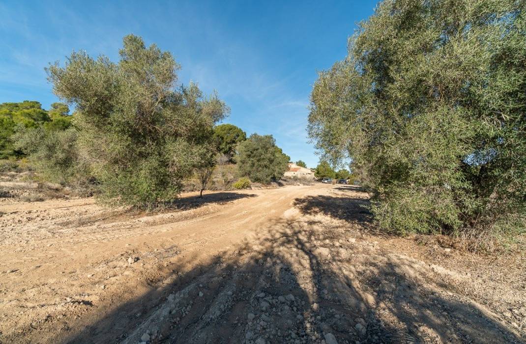 Resale - Finca - Orihuela Costa